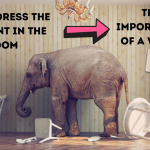 elephant in living room